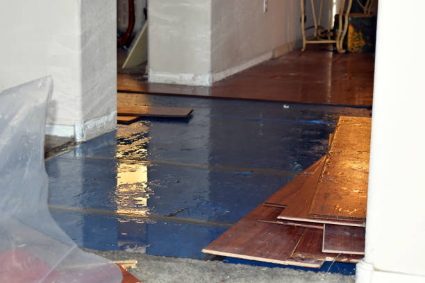 Professional Sewage Cleanup technician working in Roseville, MN